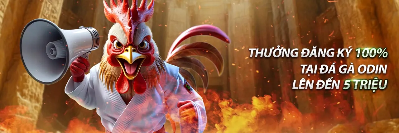 Đá Gà Trực Tiếp Kịch Tính tại Bong88